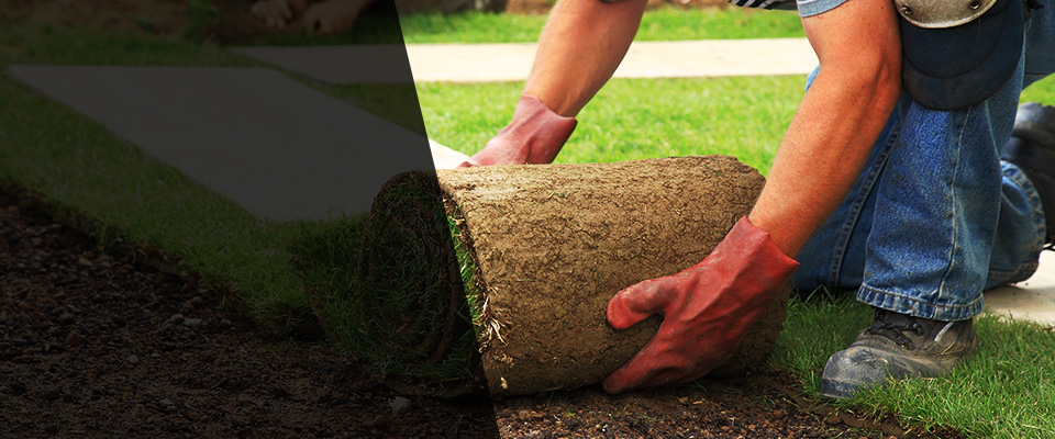 Soddy Daisy Landscapers